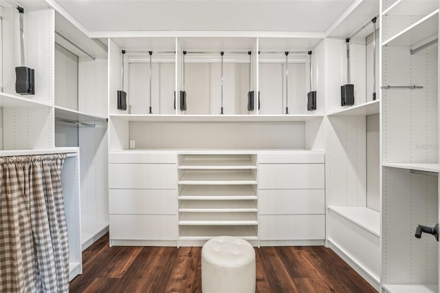 19191 Pease Pl, Lutz, FL 33558 - walk in closet with dark wood-style flooring