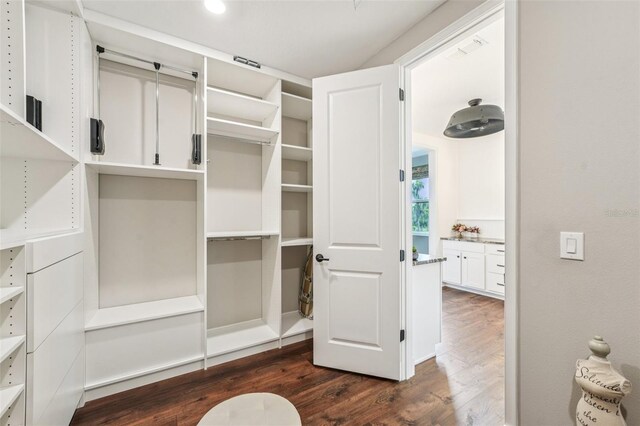 19191 Pease Pl, Lutz, FL 33558 - spacious closet with dark wood-style flooring