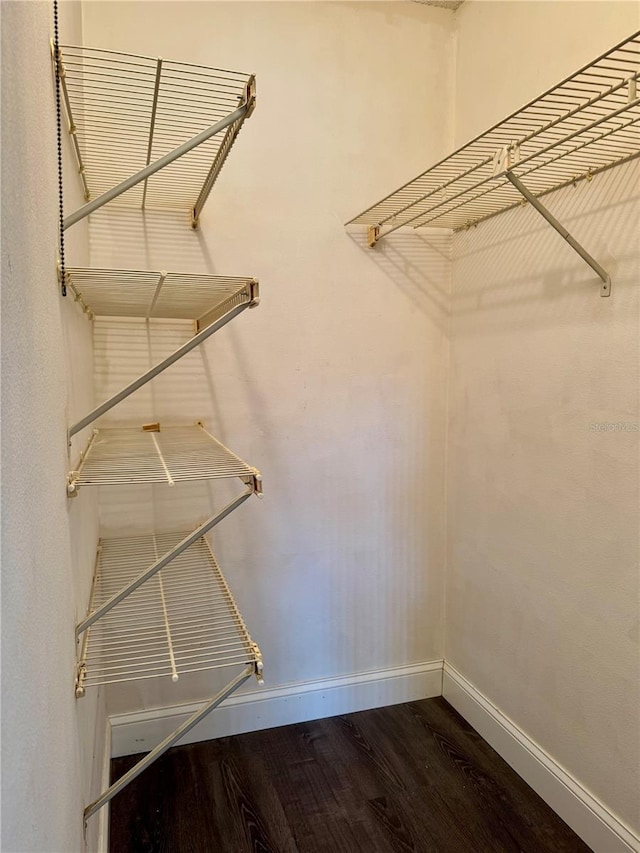 3802 N Oak Dr Unit W22, Tampa, FL 33611 - spacious closet with wood finished floors