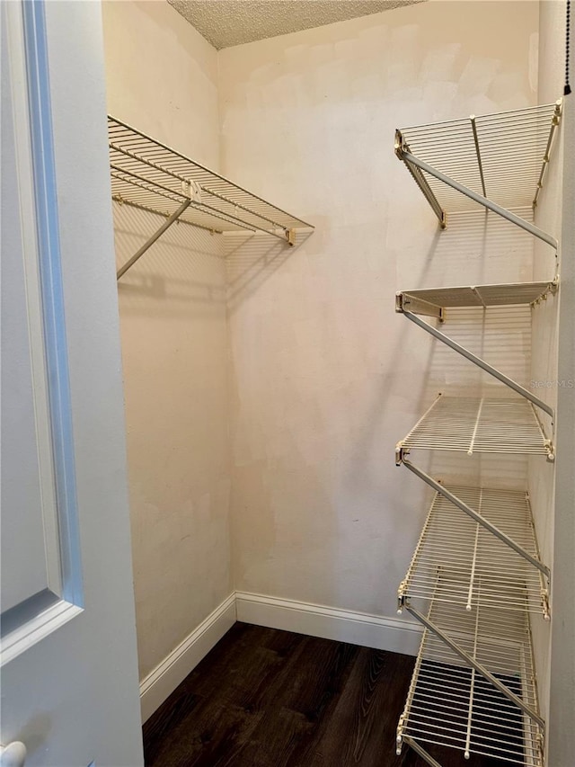 3802 N Oak Dr Unit W22, Tampa, FL 33611 - walk in closet with dark wood-style flooring