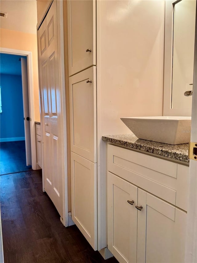 3802 N Oak Dr Unit W22, Tampa, FL 33611 - bathroom featuring wood finished floors and vanity