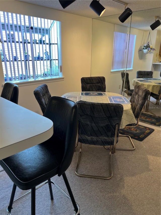 7616 Colonial Ct, Tampa, FL 33615 - carpeted dining space featuring a textured ceiling