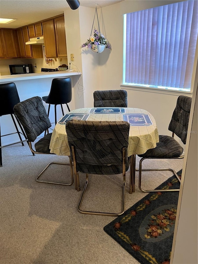 7616 Colonial Ct, Tampa, FL 33615 - view of carpeted dining room