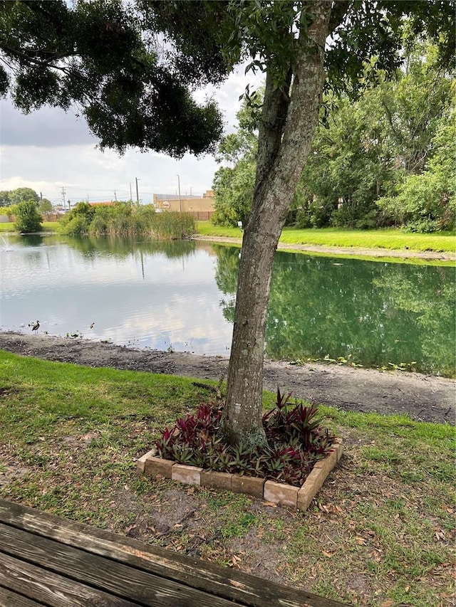 7616 Colonial Ct, Tampa, FL 33615 - water view