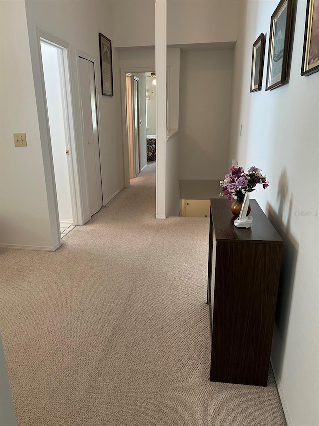 7616 Colonial Ct, Tampa, FL 33615 - corridor with light colored carpet and baseboards