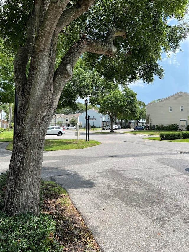 7616 Colonial Ct, Tampa, FL 33615 - view of asphalt road with street lights and a residential view