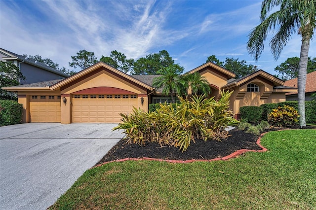 4133 Auston Way, Palm Harbor, FL 34685 - ranch-style house featuring stucco siding, an attached garage, driveway, and a front yard