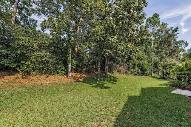 4133 Auston Way, Palm Harbor, FL 34685 - view of grassy yard