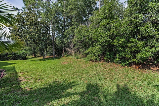 4133 Auston Way, Palm Harbor, FL 34685 - view of grassy yard