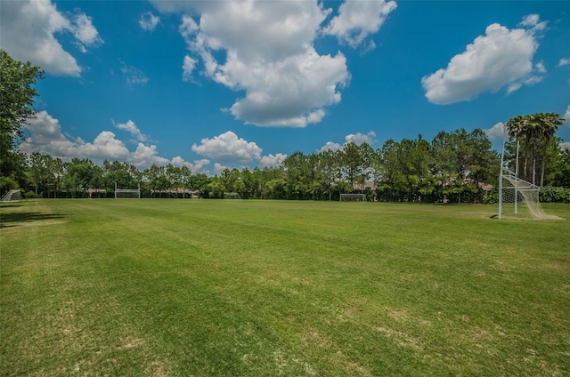 4133 Auston Way, Palm Harbor, FL 34685 - view of yard with an area for soccer
