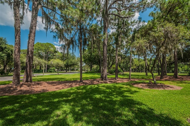 4133 Auston Way, Palm Harbor, FL 34685 - view of community featuring a yard and view of scattered trees