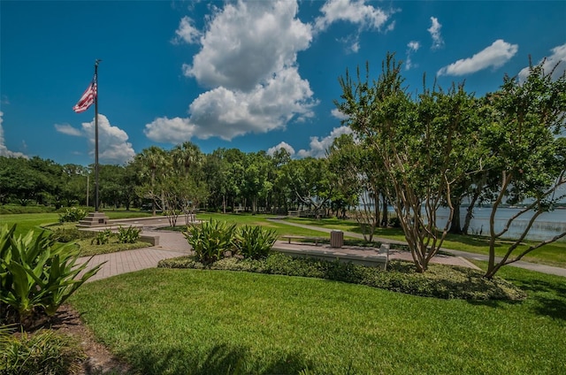 4133 Auston Way, Palm Harbor, FL 34685 - view of property's community featuring a yard and view of wooded area