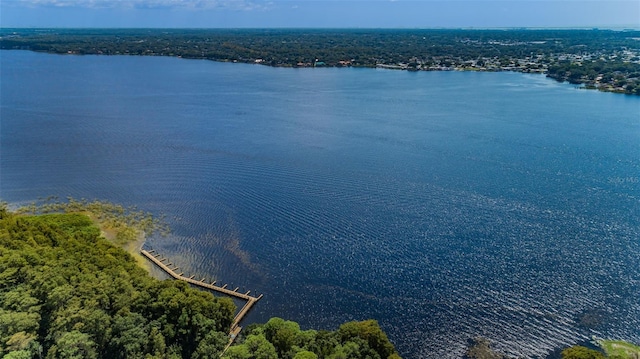 4133 Auston Way, Palm Harbor, FL 34685 - water view