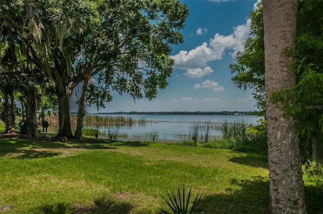 4133 Auston Way, Palm Harbor, FL 34685 - water view