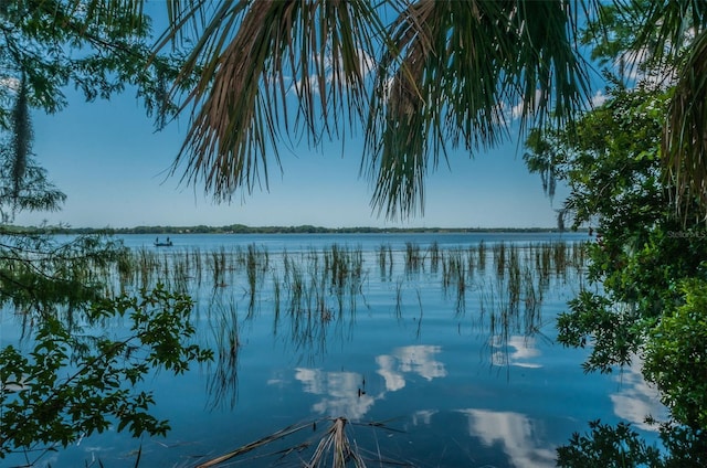4133 Auston Way, Palm Harbor, FL 34685 - water view