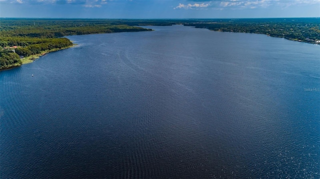 4133 Auston Way, Palm Harbor, FL 34685 - bird's eye view of a large body of water and a forest