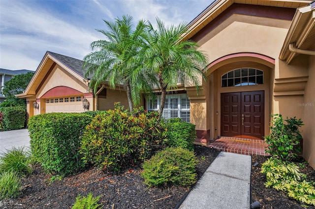 4133 Auston Way, Palm Harbor, FL 34685 - doorway to property featuring stucco siding and an attached garage