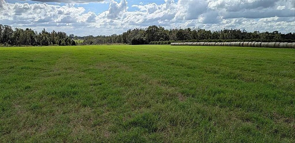 0 Amberlea, Dade City, FL 33523 - photo 1
