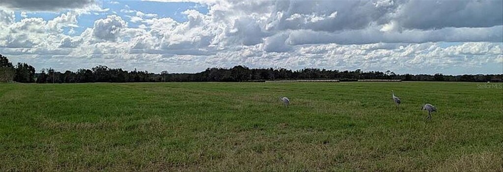 0 Amberlea, Dade City, FL 33523 - photo 2