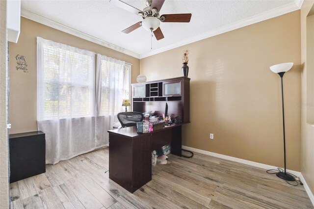 5457 Sandy Shell Dr, Apollo Beach, FL 33572 - photo 27