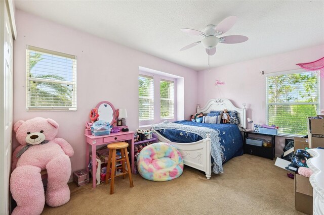 5457 Sandy Shell Dr, Apollo Beach, FL 33572 - photo 36