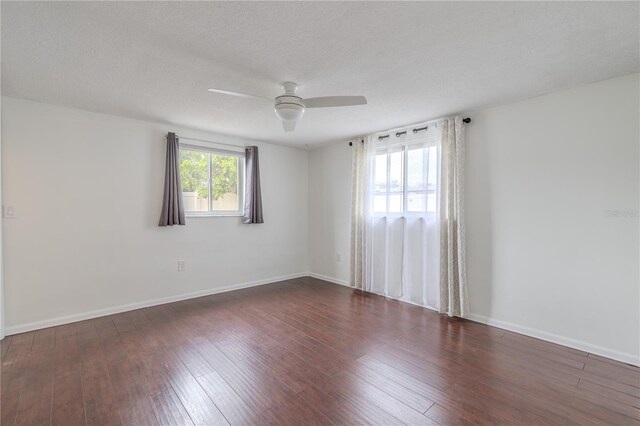 3145 Domino Dr, Holiday, FL 34691 - photo 20