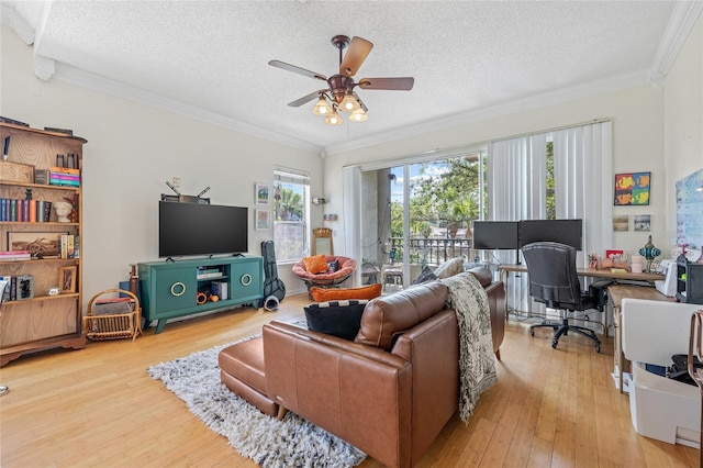 741 Mainsail Dr, Tampa, FL 33602 - living room with a textured ceiling, ornamental molding, ceiling fan, light wood finished floors, and a desk