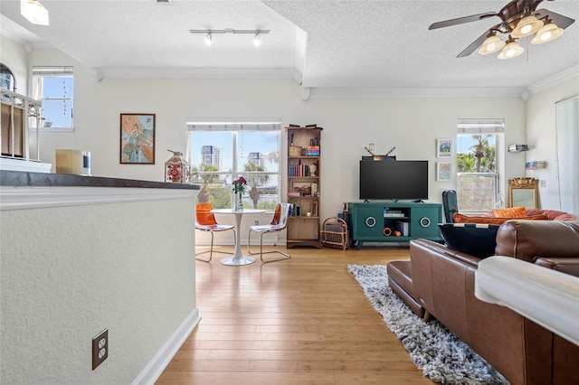 741 Mainsail Dr, Tampa, FL 33602 - living room featuring ornamental molding, a textured ceiling, ceiling fan, and hardwood / wood-style floors