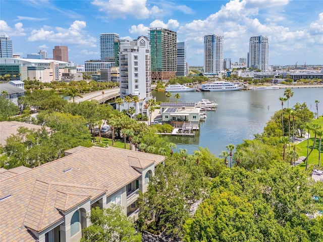 741 Mainsail Dr, Tampa, FL 33602 - bird's eye view of a large body of water and skyline