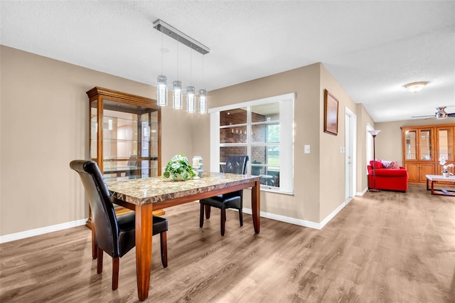 2608 Camille Dr, Palm Harbor, FL 34684 - dining room with wood finished floors, baseboards, and a textured ceiling