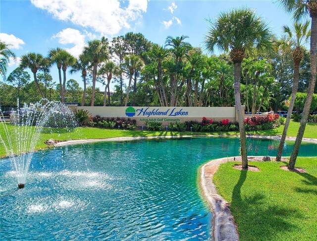 2608 Camille Dr, Palm Harbor, FL 34684 - view of pool featuring a yard