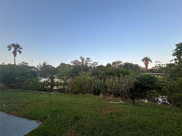 7313 Royal Palm Dr, New Port Richey, FL 34652 - view of grassy yard