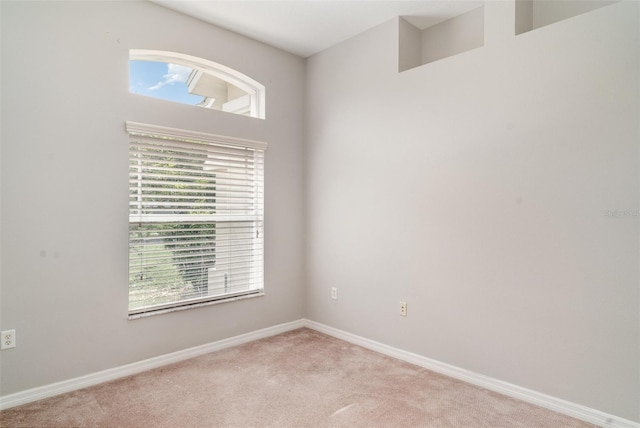 14266 Creek Run Dr, Riverview, FL 33579 - empty room featuring plenty of natural light, light colored carpet, and baseboards