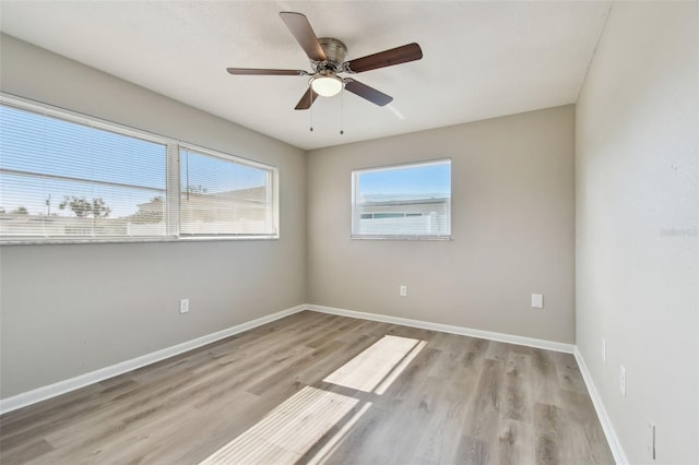 1701 62nd Ter S, Saint Petersburg, FL 33712 - photo 61