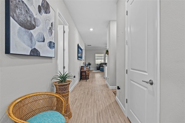 31921 Magna Gulf Loop, San Antonio, FL 33576 - hallway with wood finished floors, baseboards, and recessed lighting