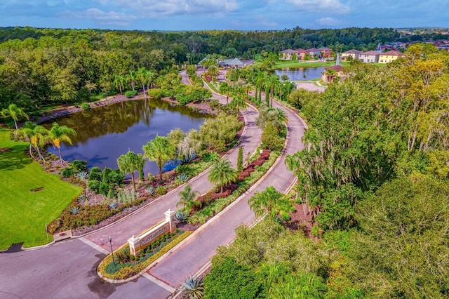 18050 Cozumel Isle Dr, Tampa, FL 33647 - photo 34