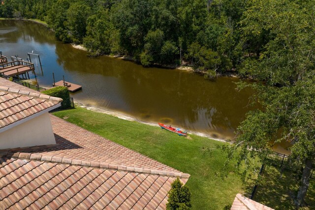 18050 Cozumel Isle Dr, Tampa, FL 33647 - photo 50