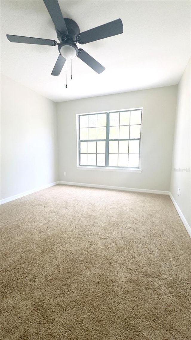 2302 Maki Rd Unit 69, Plant City, FL 33563 - carpeted empty room featuring baseboards and ceiling fan