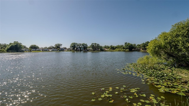 12416 Queensland Ln, Tampa, FL 33625 - water view