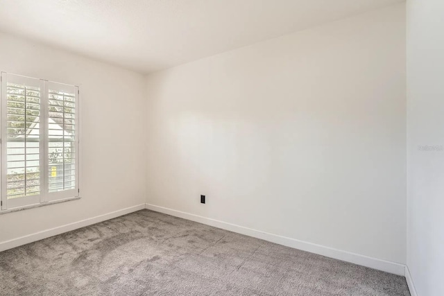 3058 Cara Ct, Palm Harbor, FL 34684 - unfurnished room featuring carpet and baseboards