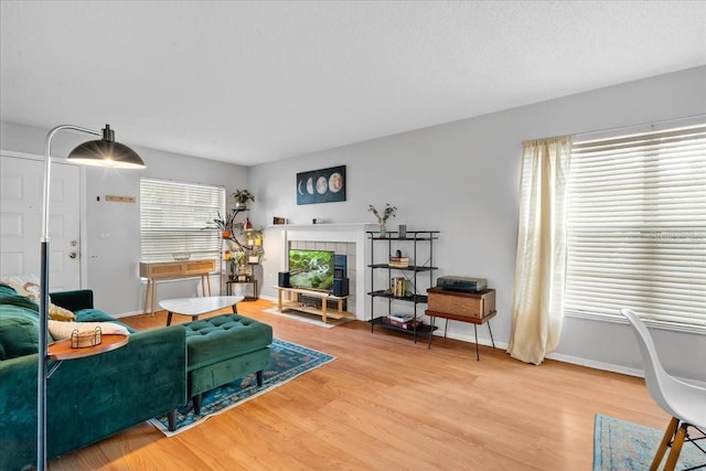 4004 Dream Oak Pl Unit 102, Tampa, FL 33613 - living area featuring light wood finished floors, a tile fireplace, and baseboards