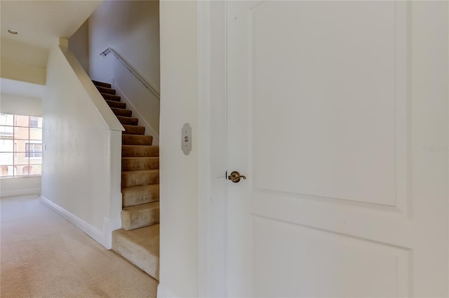 1531 Ember Ln, Tarpon Springs, FL 34689 - stairway featuring carpet flooring and baseboards