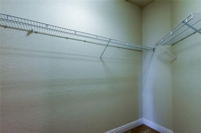 1531 Ember Ln, Tarpon Springs, FL 34689 - view of walk in closet