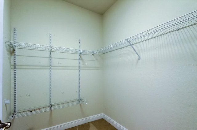 1531 Ember Ln, Tarpon Springs, FL 34689 - view of walk in closet