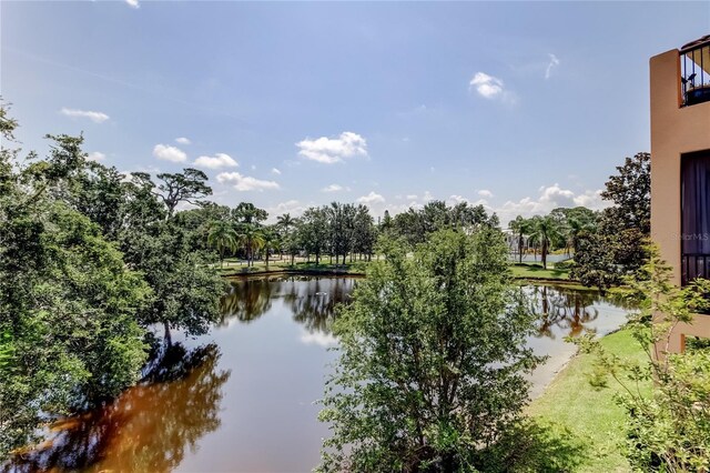 1531 Ember Ln, Tarpon Springs, FL 34689 - water view with a tree filled landscape