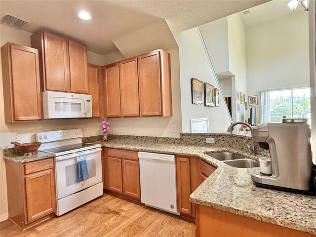 2130 Broadway View Ave, Brandon, FL 33510 - kitchen featuring white appliances, light wood finished floors, a sink, light stone countertops, and recessed lighting