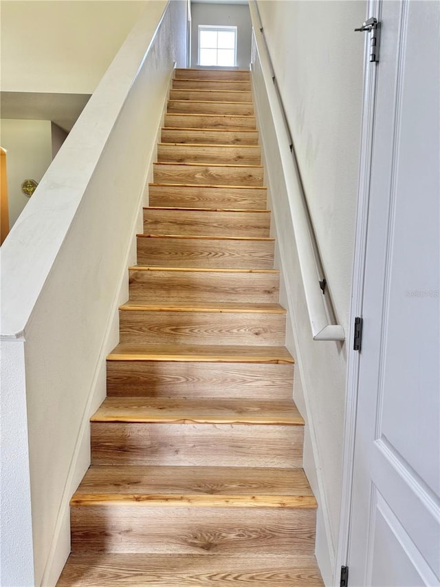 2130 Broadway View Ave, Brandon, FL 33510 - staircase with wood finished floors