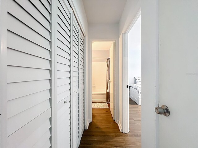 11447 Park Blvd Unit 205, Seminole, FL 33772 - photo 21