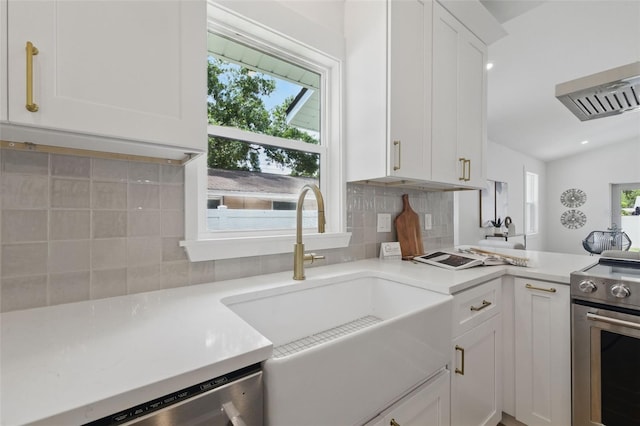 791 44th Ave N, Saint Petersburg, FL 33703 - kitchen with appliances with stainless steel finishes, a sink, tasteful backsplash, plenty of natural light, and lofted ceiling