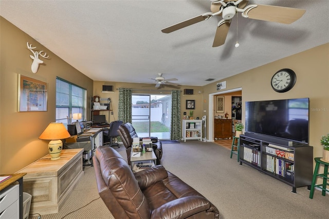 6401 15th St N, Saint Petersburg, FL 33702 - photo 16